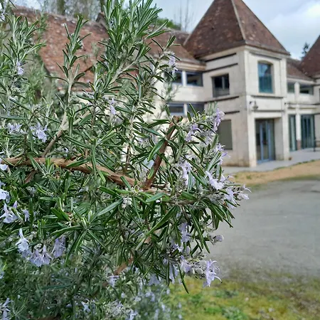 Gite Cinema Dans Le Perche Rémalard Exterior foto