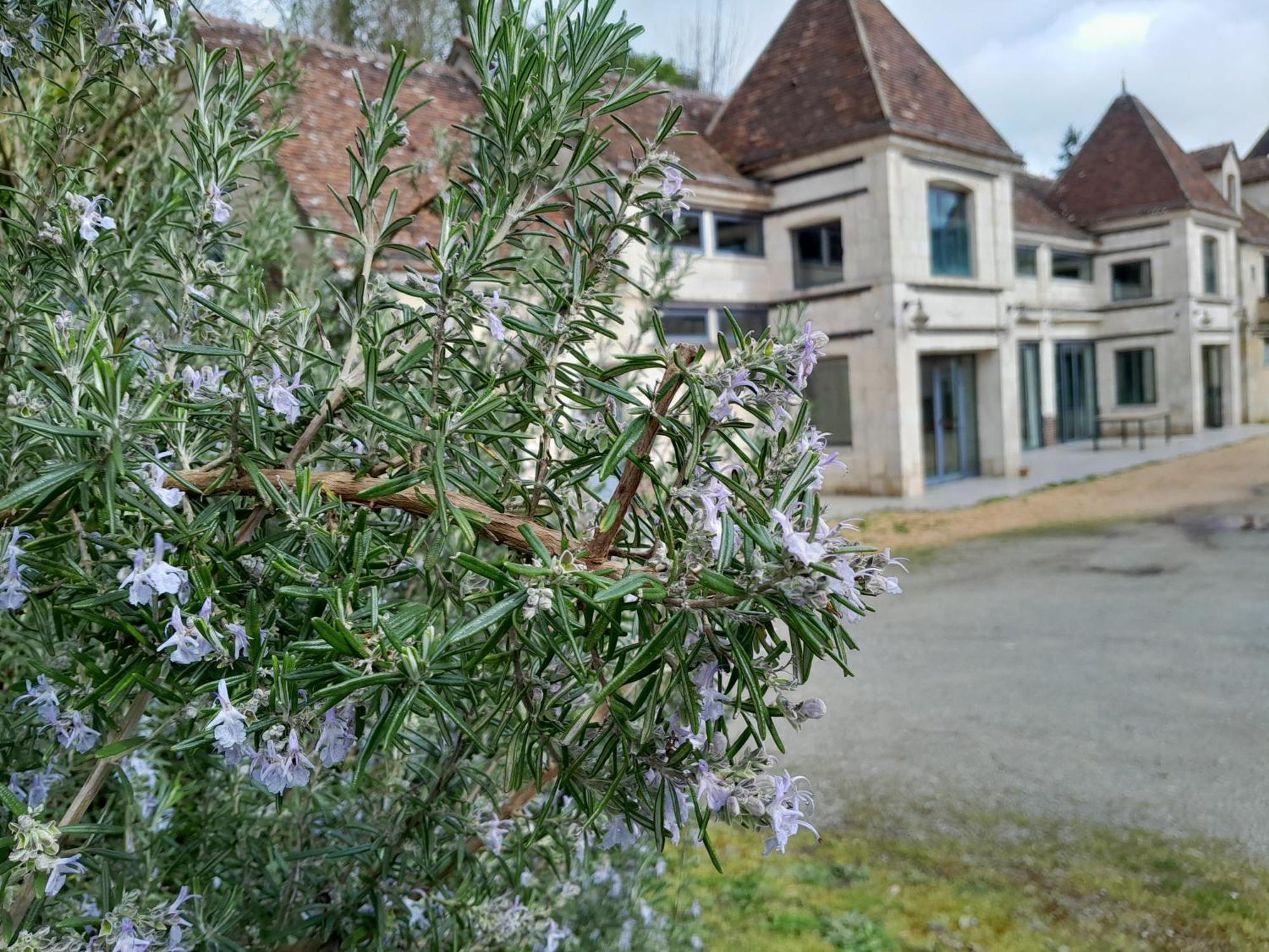 Cinema Dans Le Perche Remalard
